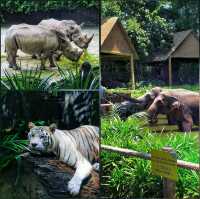 Captivating & immersive wildlife experience