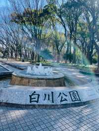 【愛知県】市民の憩いの場「白川公園」