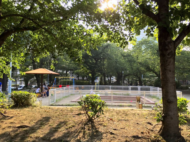 Nakaoe Park