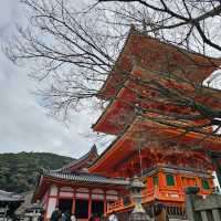 京都必逛景點“清水寺”