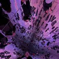 Immerse in teamLab Borderless, Tokyo