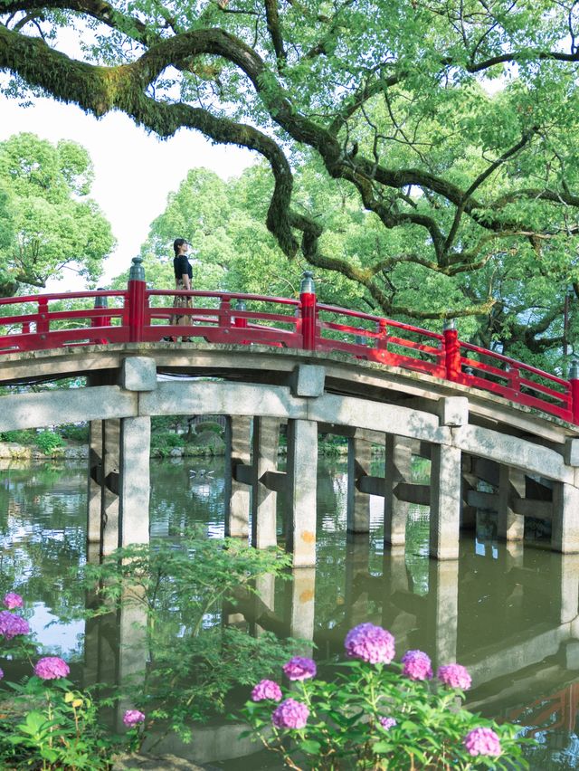 【福岡】今年こそ！紫陽花の時期の太宰府がおすすめ
