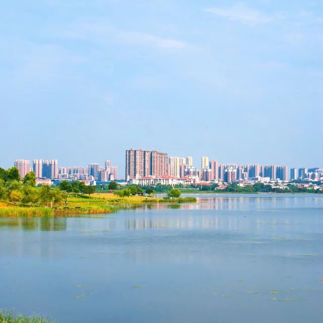 橫琴濕地公園：優美景色