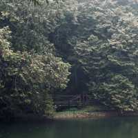 Chilly hike at Alishan