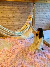 【埼玉(大宮)】花粉症で外でたくない方必見！お風呂も入れる屋内でお花見デートはここ！