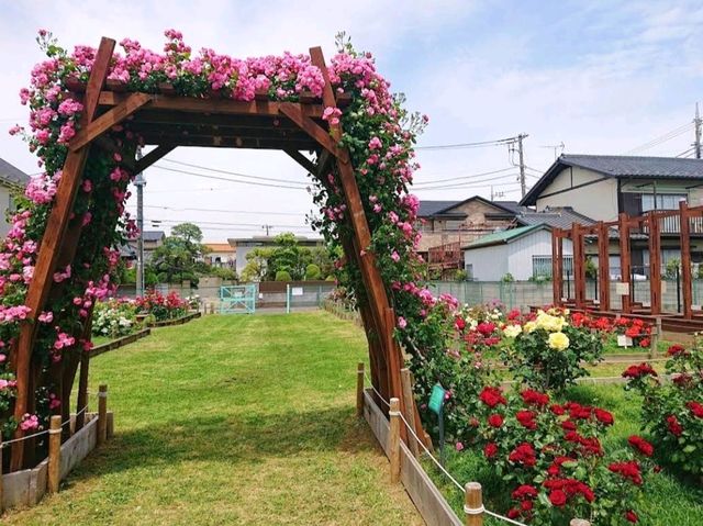 Okudo Flower Park