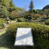 自然豊かな相良護国神社
