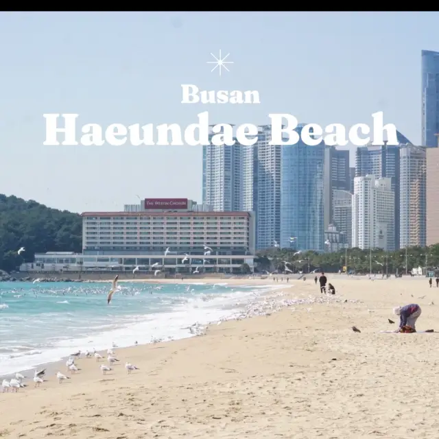 🌊 Haeundae Beach | Busan , South Korea