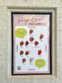 【静岡】スイーツのテーマパークでいちごスイーツを堪能