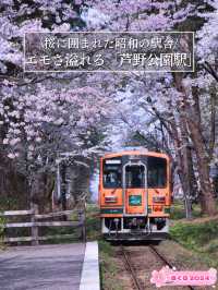 青森・桜】駅と列車と桜のコラボレーション🚃🌸穴場のエモいスポット✨※アクセス解説付き