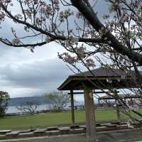 【鹿児島】桜島旅行に行ってきました♡