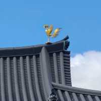 【京都】10円玉に描かれているスポット⭐平等院⭐