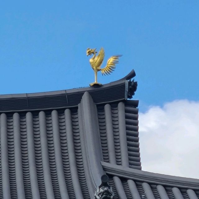 【京都】10円玉に描かれているスポット⭐平等院⭐