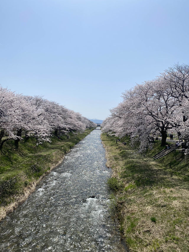富山　春の四重奏