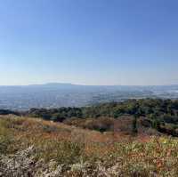 【世界遺産】春日山原始林　〜春日山遊歩道