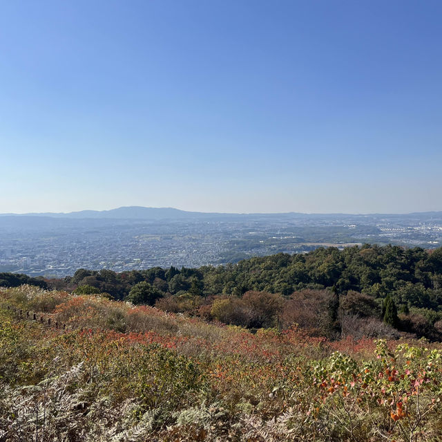 【世界遺産】春日山原始林　〜春日山遊歩道