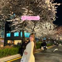 Shop and see cherry blossoms at Hongdae