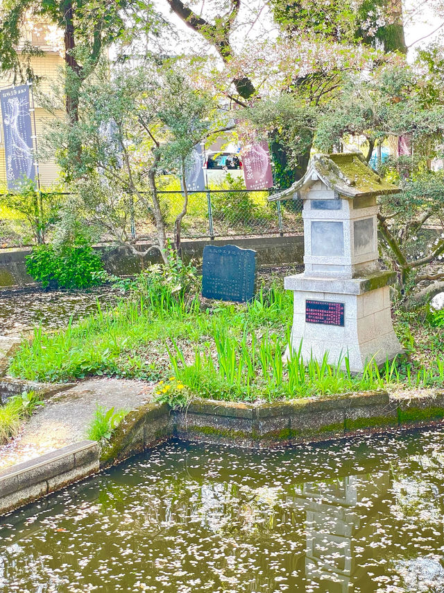 【前玉神社／埼玉県】古墳上に建つ社殿と花手水