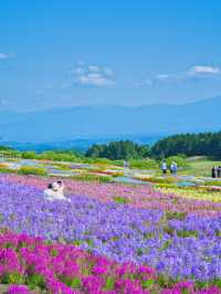 【大分】ここは天国ですか⁉️と勘違いしてします花畑絶景スポット✨