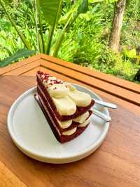 คาเฟ่กลางธรรมชาติ SILA CAFE