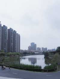 珠海免費景點，小溪花海人少
