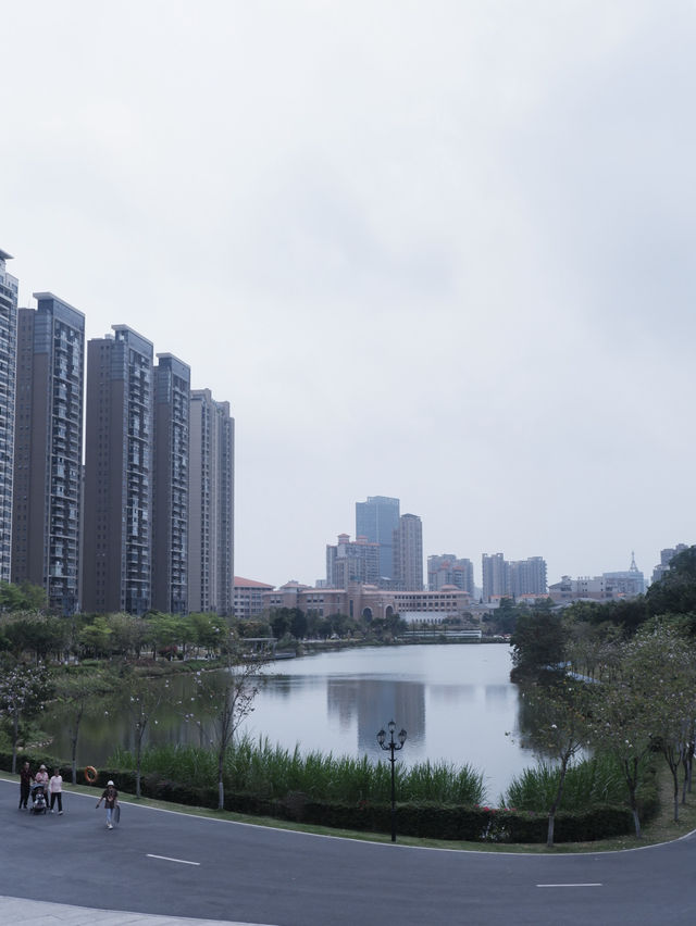 珠海免費景點，小溪花海人少