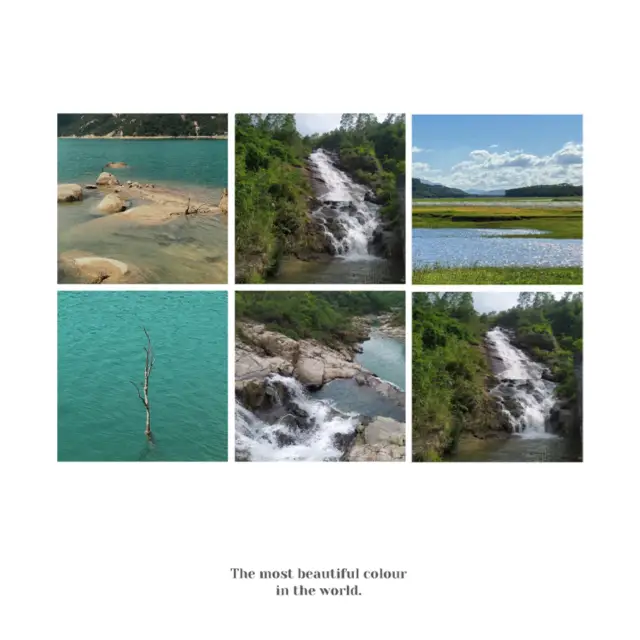 新加坡勿洛水庫公園：湖泊綠洲，適合身心放鬆