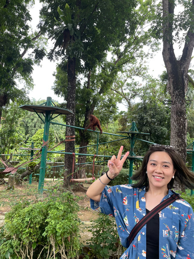 A day at Zoo Negara 🇲🇾