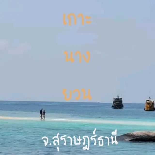 เกาะนางยวน  จ.สุราษฎร์ธานี