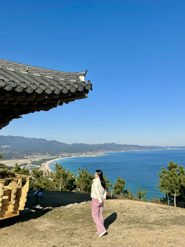 영덕으로 떠나야하는 이유 🩵