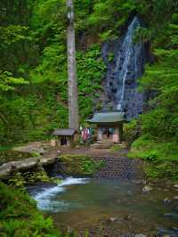 【山形】歴史と共に山奥にひっそり佇む五重塔🏞  