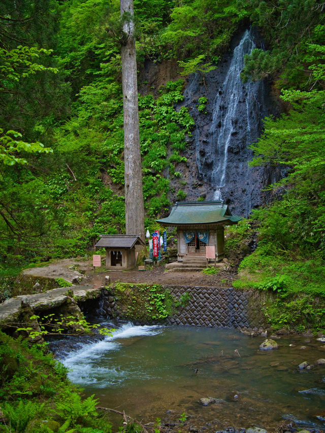 【山形】歴史と共に山奥にひっそり佇む五重塔🏞  