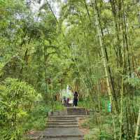 澳門盧廉若公園～小橋流水