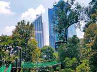 🌿 Nature Hike in Kuala Lumpur City 