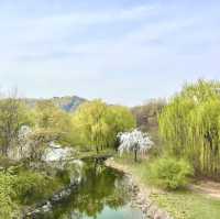 Stroll at Seoul Forest