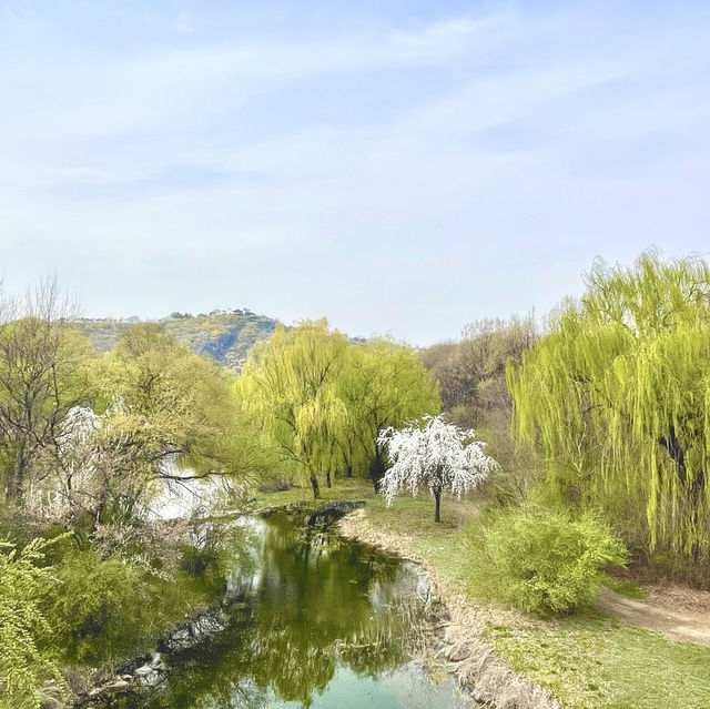 Stroll at Seoul Forest
