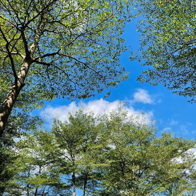 【澳門景點】𧙗漢公園：自然美景、難忘回憶！