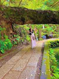 【茨城】神秘的な神社⛩最強パワースポット✨