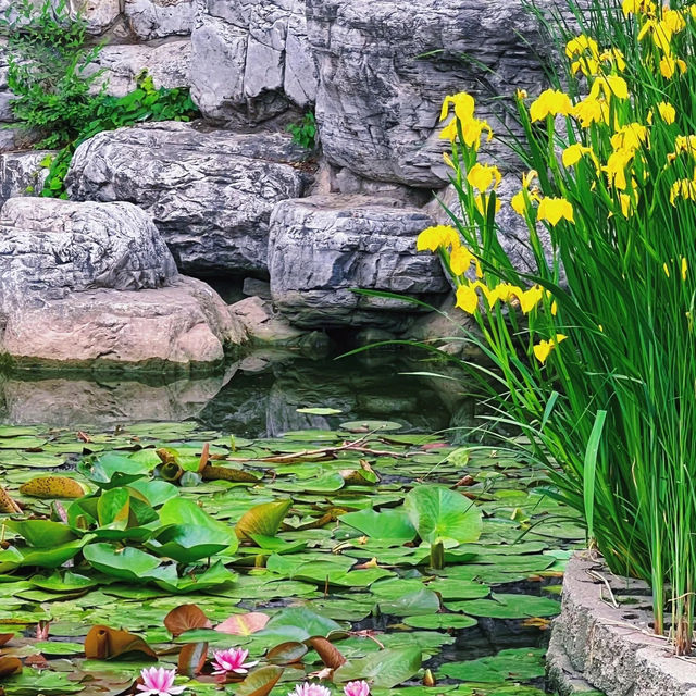 【臺北景點】石潭公園：恬靜幽雅