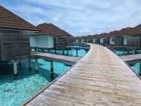 The Maldives-Paradise living with nature