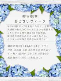 【6/1～6/30】京都最大規模5000株のあじさい