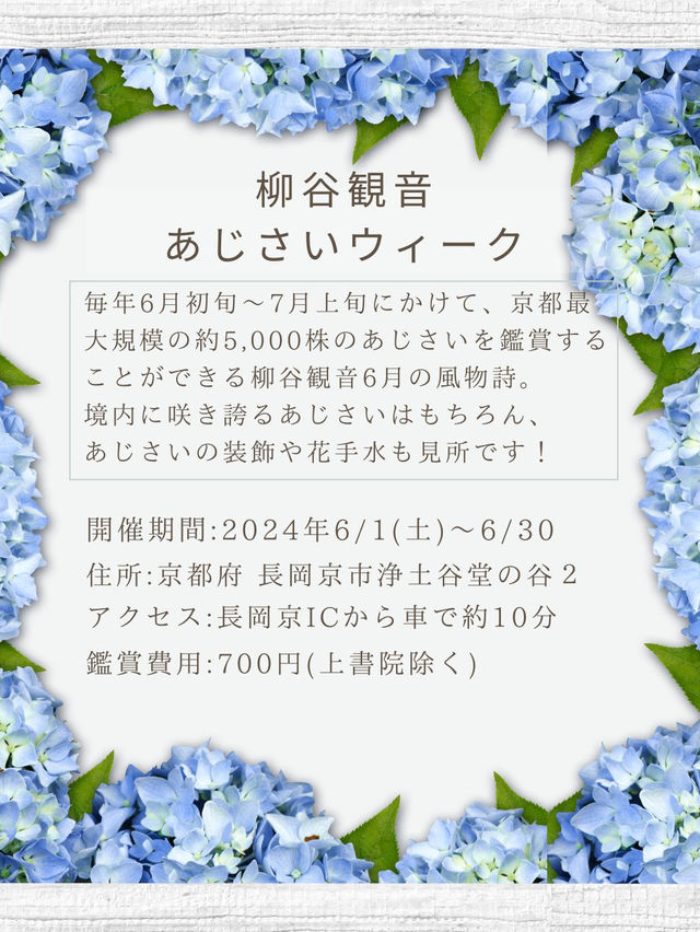 【6/1～6/30】京都最大規模5000株のあじさい