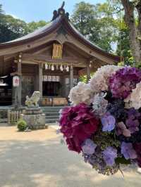 【福岡観光】有名アニメでも有名になった竈門神社