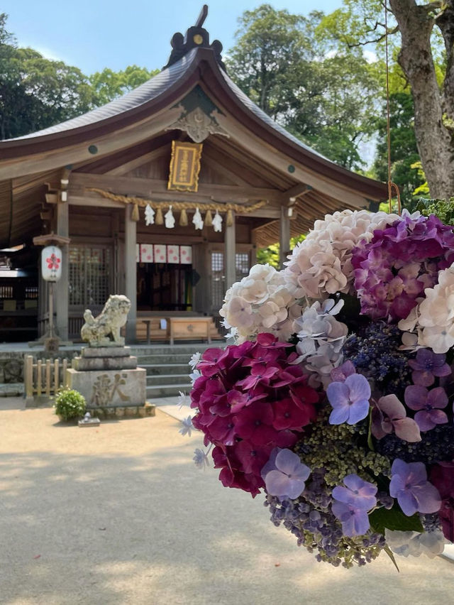 【福岡観光】有名アニメでも有名になった竈門神社