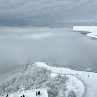 札幌國際滑雪場：豐富滑雪體驗