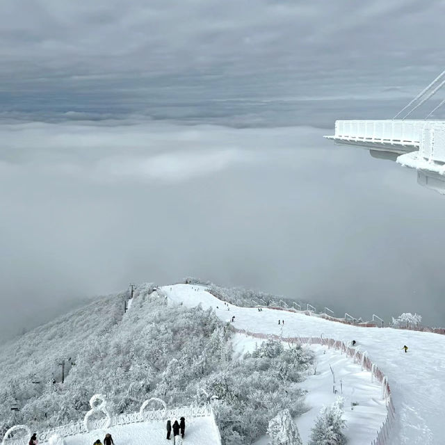 札幌國際滑雪場：豐富滑雪體驗