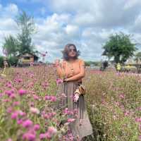 🌼 สวนลุงเวศน์ - #ตรัง 🌷🌻
