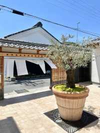 【滋賀】記念日におすすめ♡雰囲気のいいフレンチイタリアン