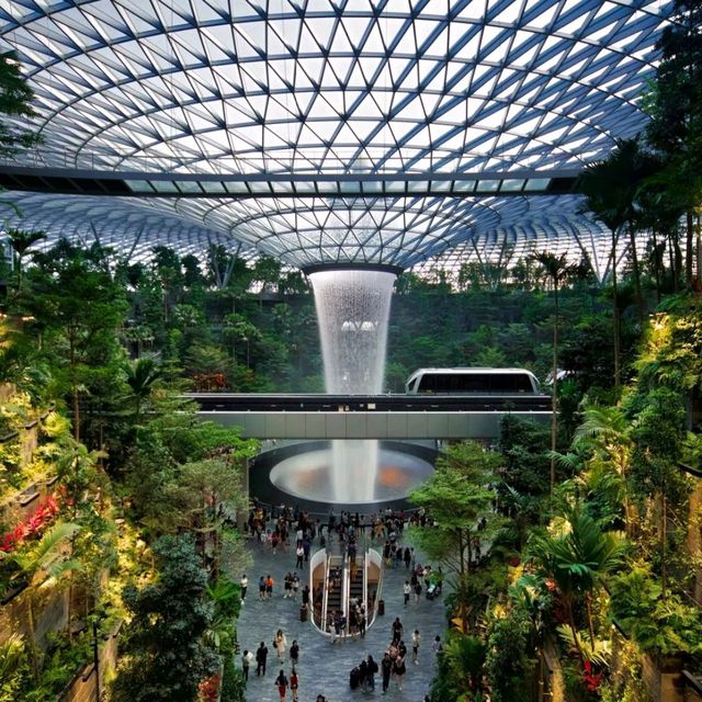 Changi Airport:  Ultimate Travel Experience🌟🇸🇬"
