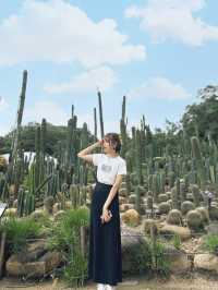 【大自然之旅】仙湖植物園：適合現在前往！